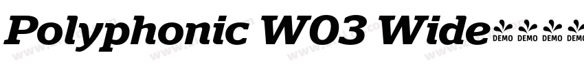 Polyphonic W03 Wide字体转换 Polyphonic W03 Wide字体转换